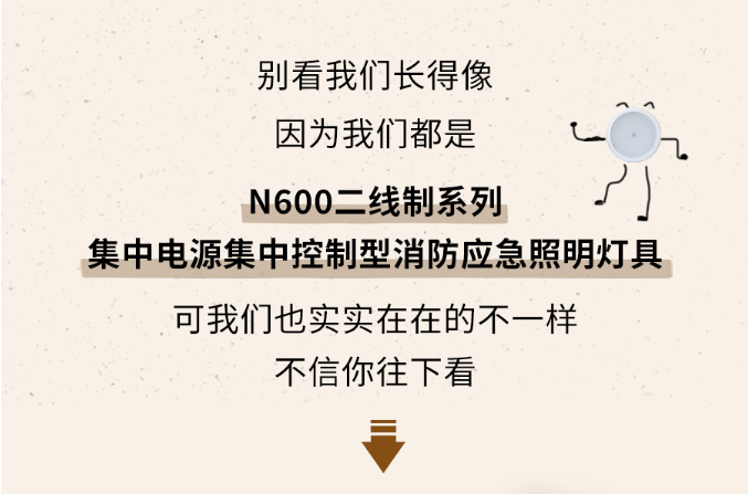 贵州贵州海湾消防N600二线制系列集中电源集中控制型消防应急照明灯具介绍